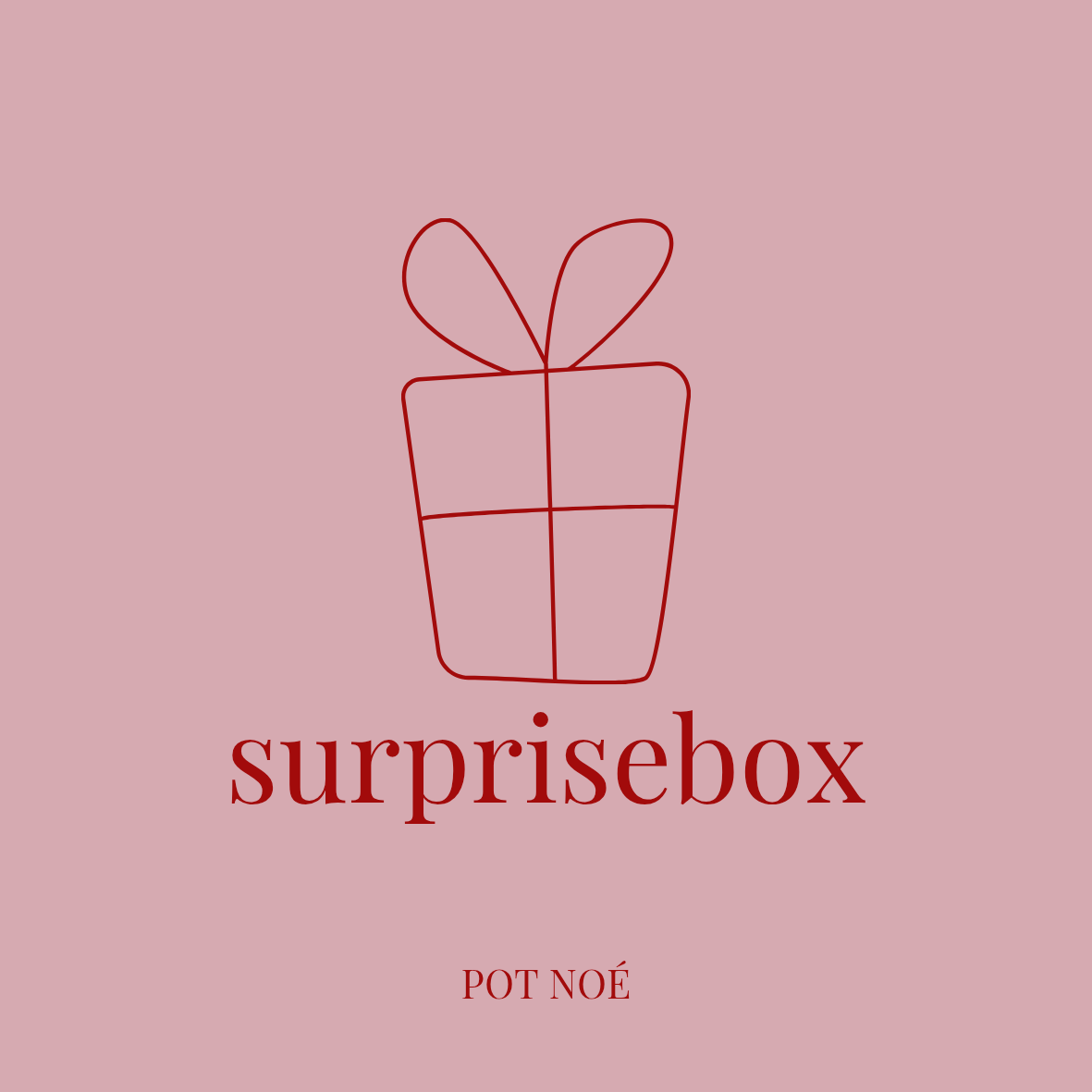 Überraschungs Box B-Ware