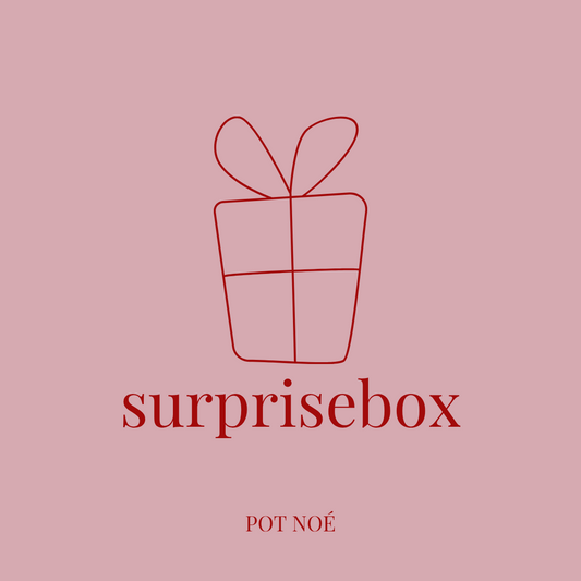 Überraschungs Box B-Ware